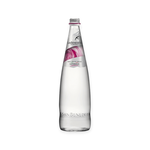 聖碧濤義大利天然礦泉水1L, , large